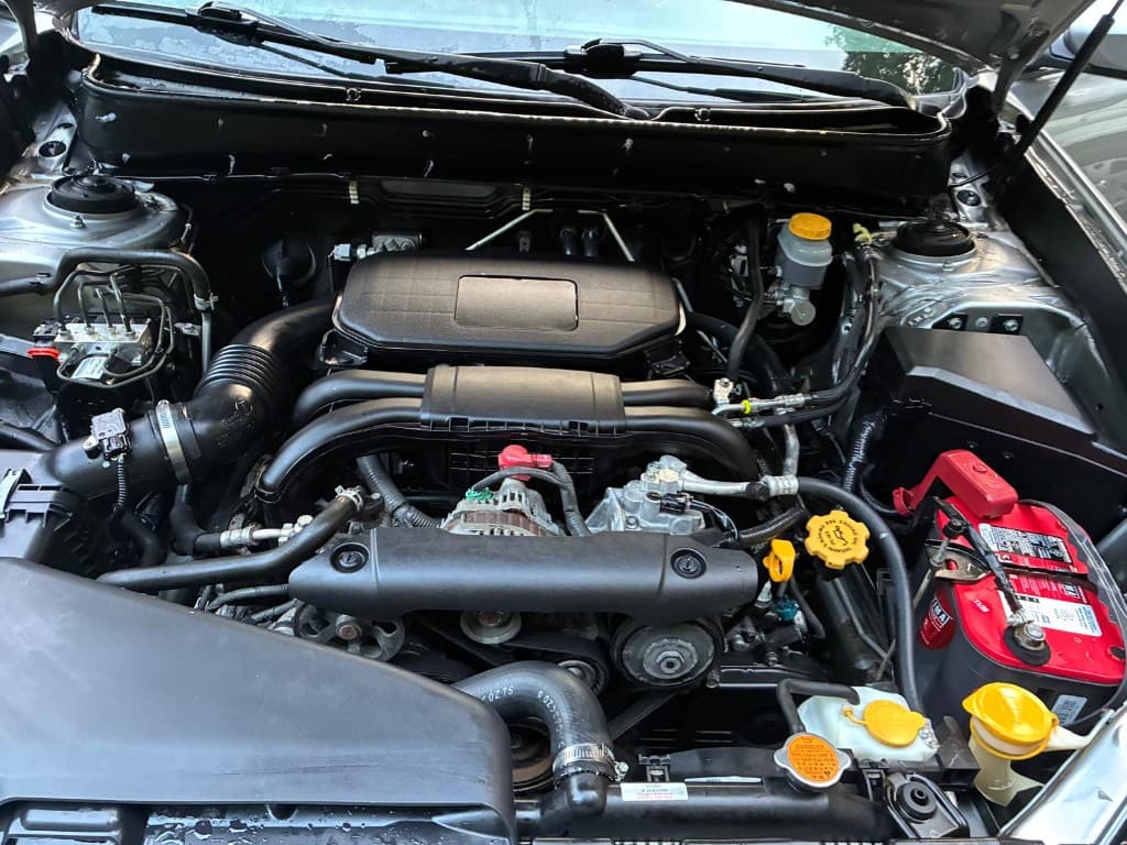 Clean dressed engine bay after professional engine bay cleaning