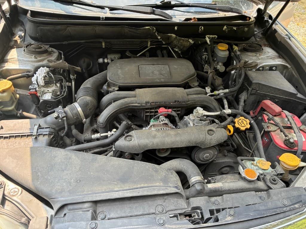 Dusty engine bay covered in road grime before cleaning